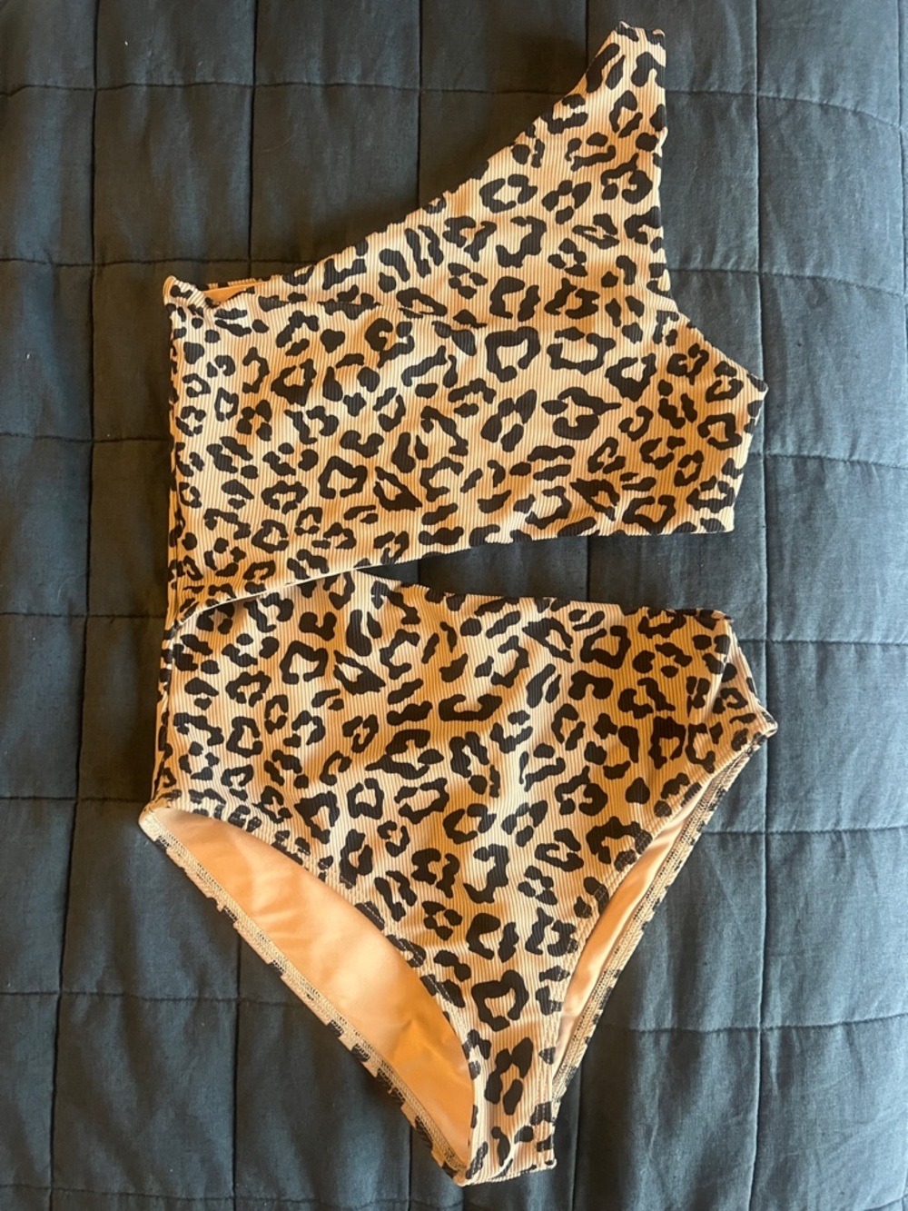 Beach Riot One-Shoulder Leopard Print Swimsuit